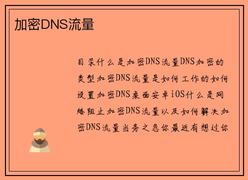 加密DNS流量 