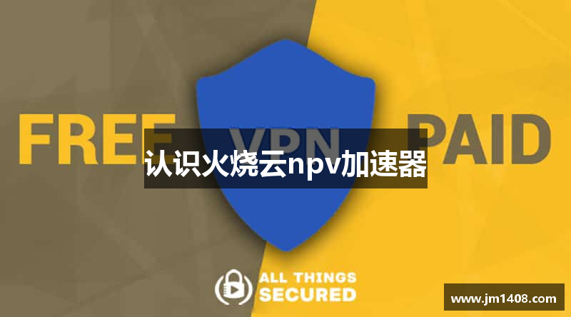 认识火烧云npv加速器